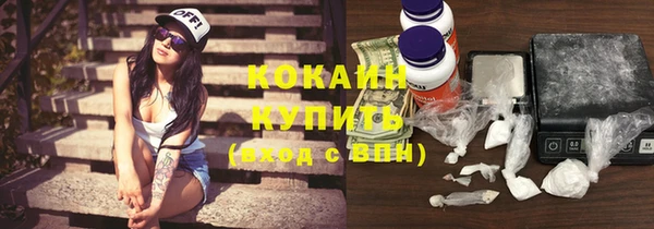 стафф Корсаков